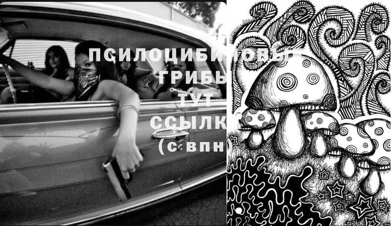 Псилоцибиновые грибы Magic Shrooms Дзержинский